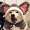 ͷ��