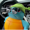 ͷ��
