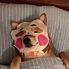 ͷ