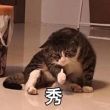 ͷ��