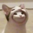 ͷ��