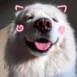 ͷ