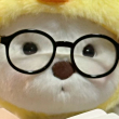 ͷ