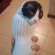 ͷ��