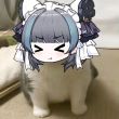 ͷ��