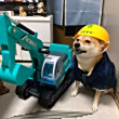 ͷ