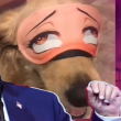ͷ��