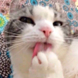 ͷ