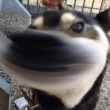 ͷ��