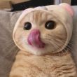 ͷ��