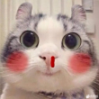 ͷ