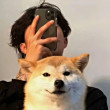 ͷ