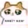 ͷ��