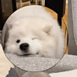 ͷ