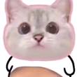 ͷ