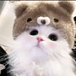 ͷ