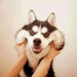 ͷ��