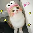 ͷ