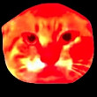 ͷ