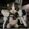 ͷ