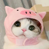 ͷ��