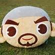 ͷ