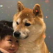 ͷ