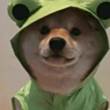 ͷ