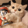 ͷ��