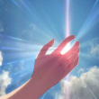 ͷ��