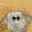 ͷ