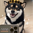 ͷ