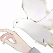 ͷ