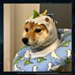 ͷ