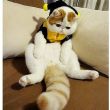 ͷ��