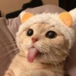 ͷ��