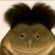 ͷ��