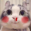 ͷ��