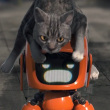 ͷ��