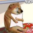 ͷ��