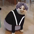 ͷ
