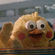 ͷ��
