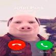 ͷ��