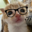 ͷ��