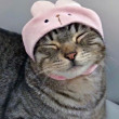 ͷ