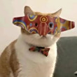 ͷ