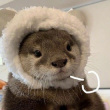 ͷ��