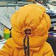 ͷ