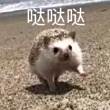 ͷ