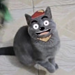 ͷ
